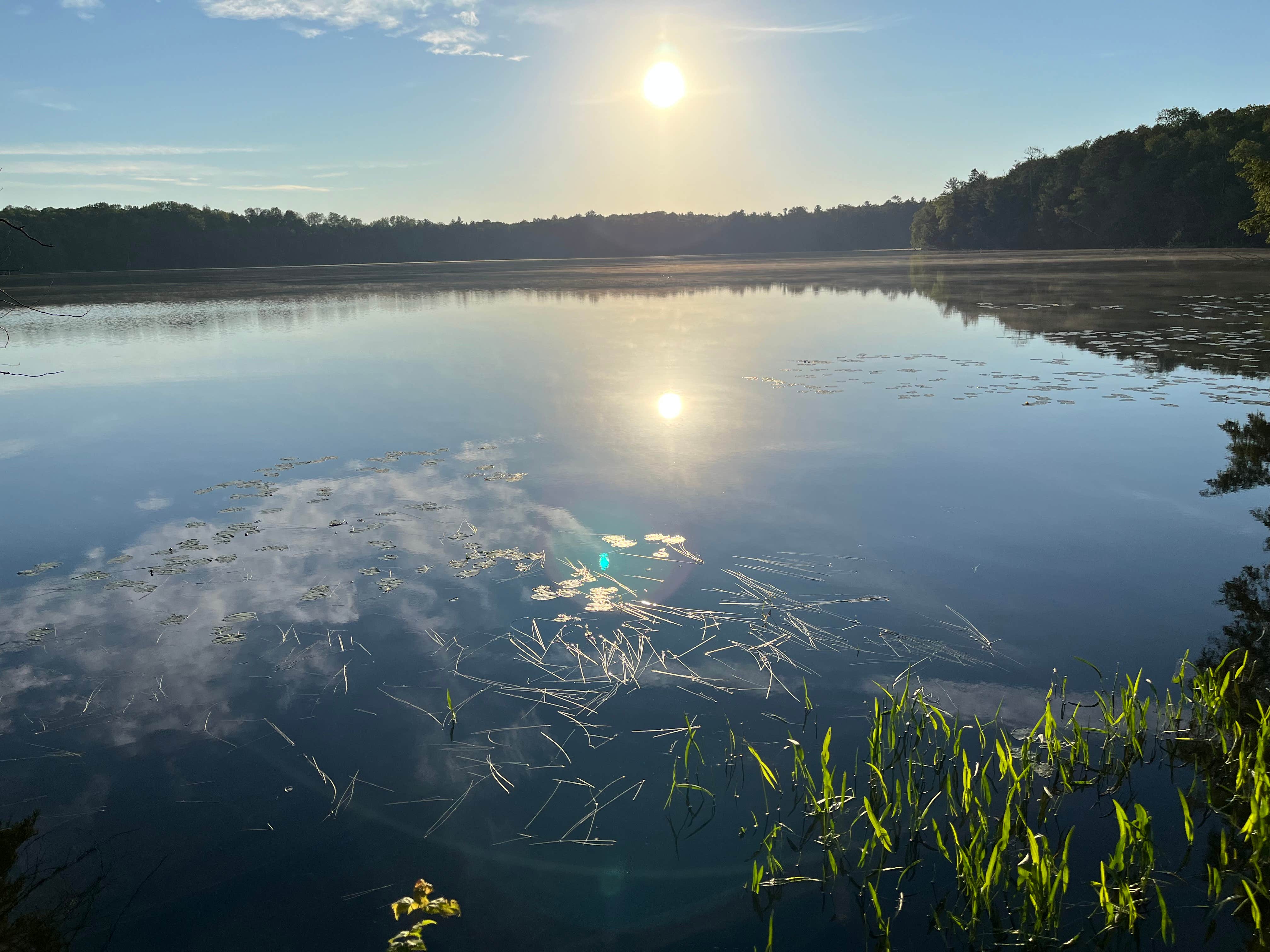 Camper submitted image from Laura Lake Recreation Area - 3