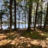 Review photo of Laura Lake Recreation Area by Artem  I., July 6, 2024