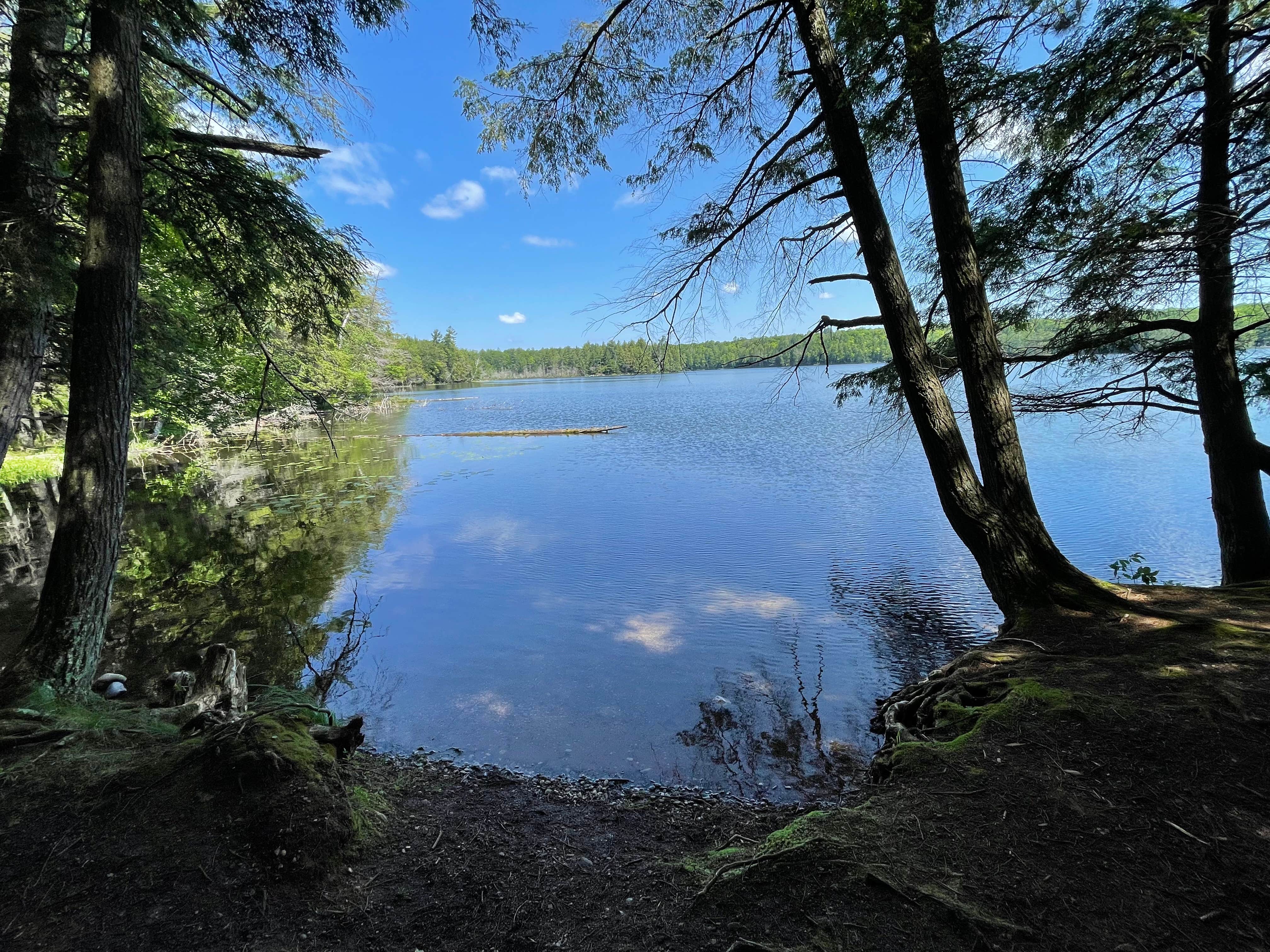 Camper-submitted photo at Laura Lake Recreation Area near Chequamegon-Nicolet National Forest