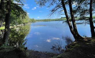 Artem I.'s photo of camping with pets at Laura Lake Recreation Area in Wisconsin