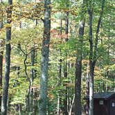 Review photo of Laurel Lake Campground — Chequamegon Nicolet NF by Nancy May , October 3, 2025