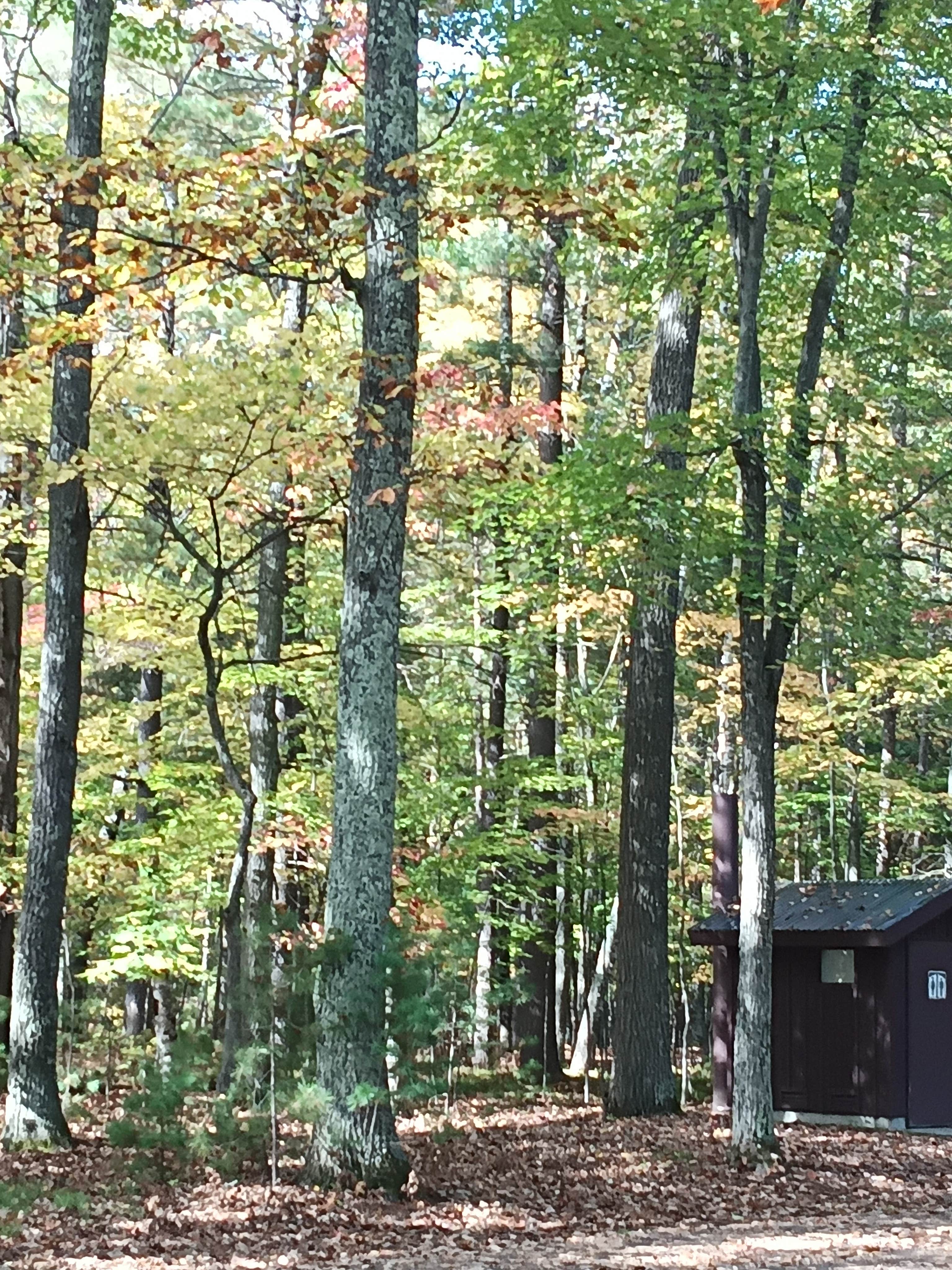 Camper submitted image from Laurel Lake Campground — Chequamegon Nicolet NF - 1