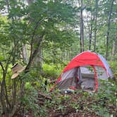 Review photo of Laurel Prong Trail Dispersed by Allan M., July 22, 2025