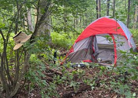 Laurel Prong Trail Dispersed