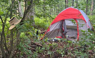 Allan M.'s photo at Laurel Prong Trail Dispersed near Ruckersville, VA