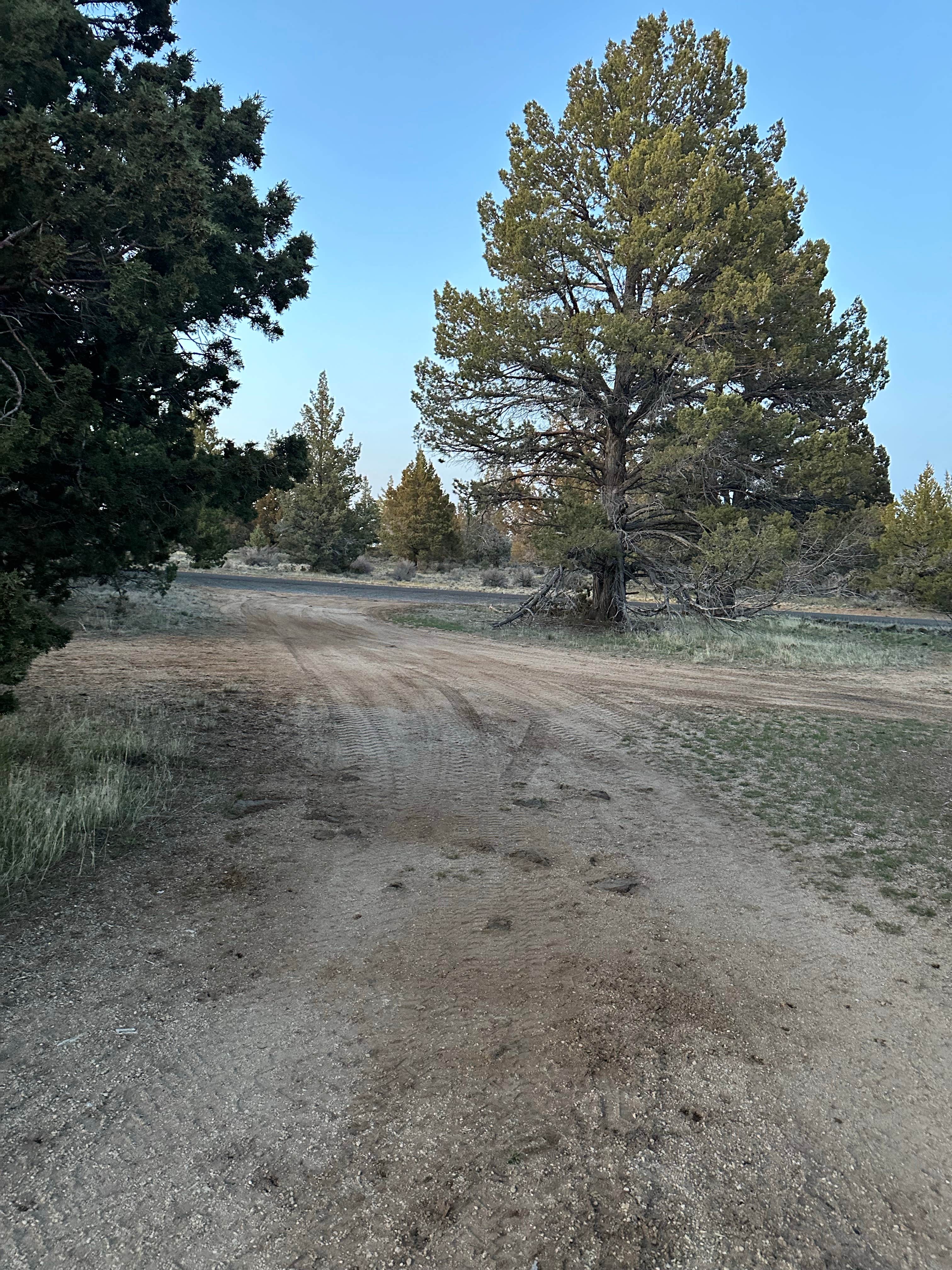 Camper-submitted photo at Lava Beds National Monument Road near Modoc National Forest