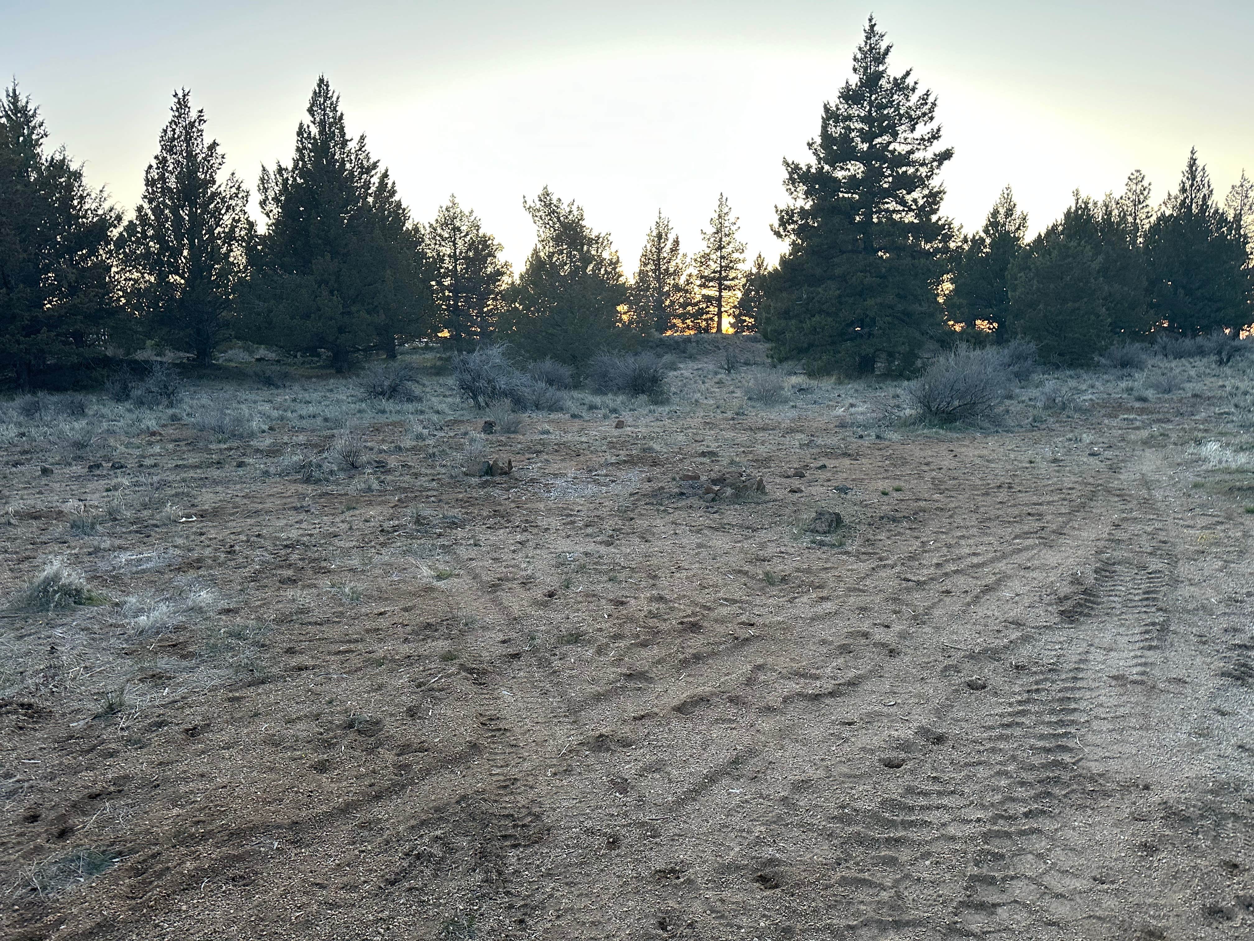 Camper-submitted photo at Lava Beds National Monument Road near Modoc National Forest