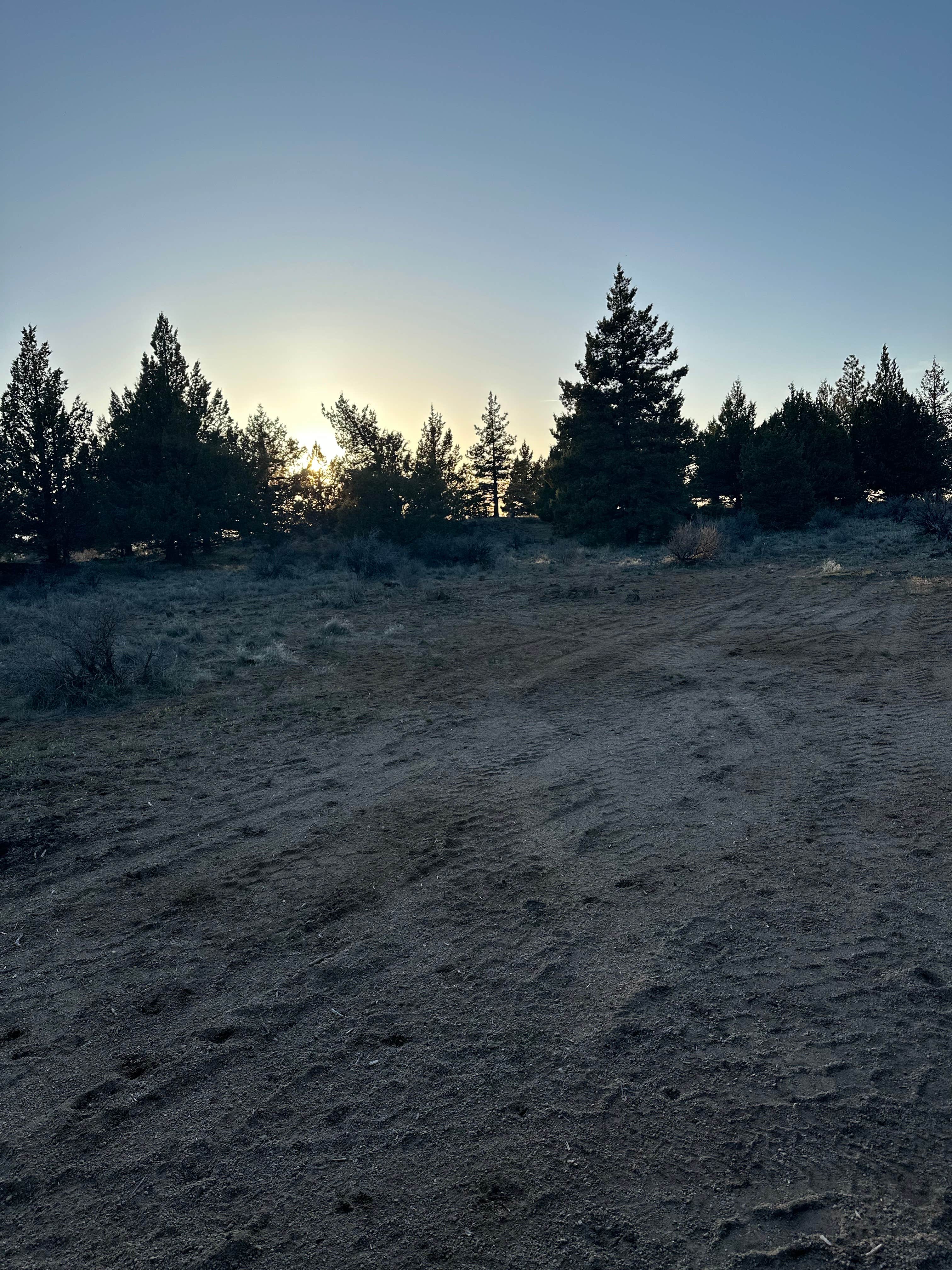 Camper-submitted photo at Lava Beds National Monument Road near Modoc National Forest