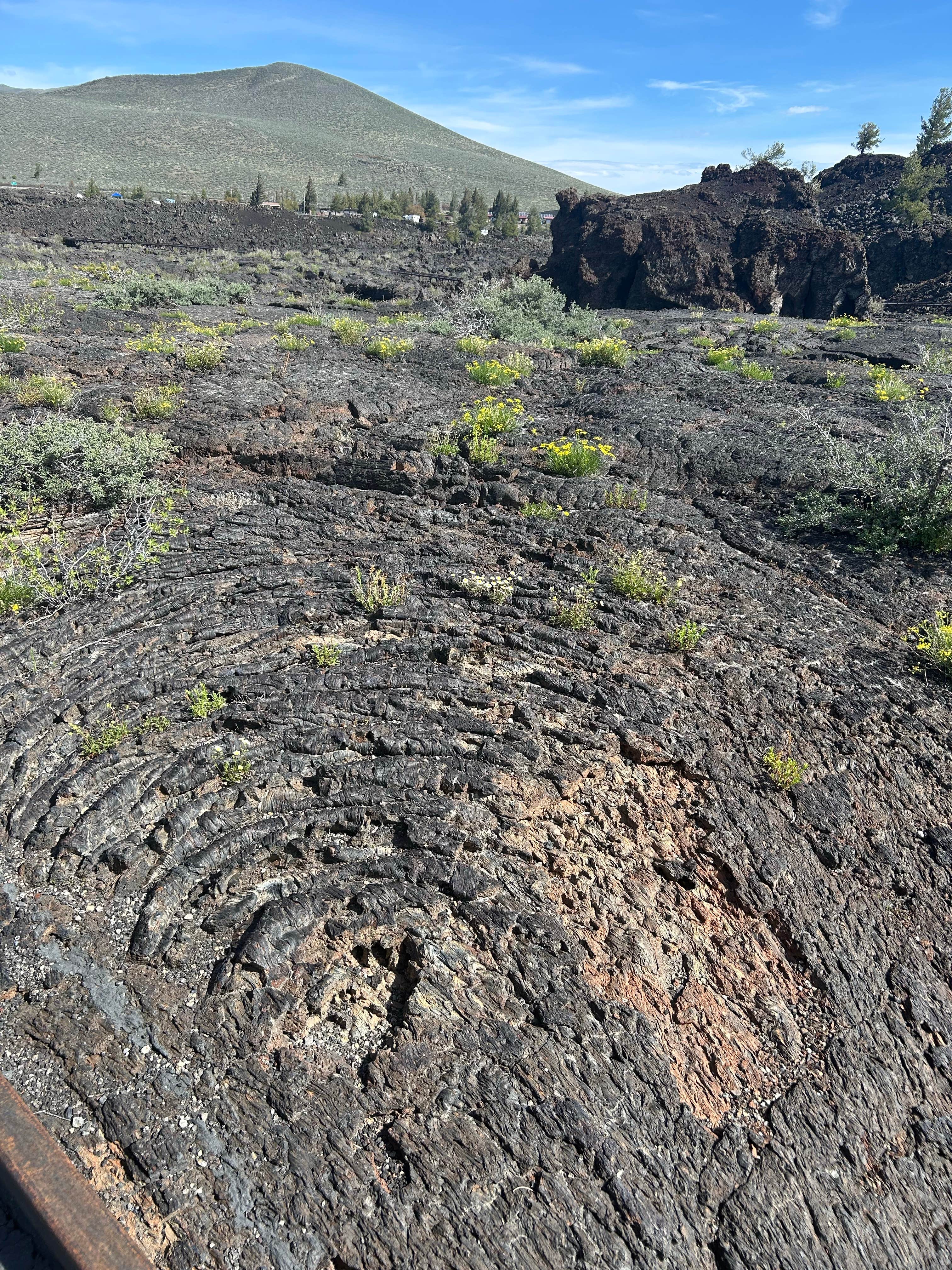 Camper submitted image from Lava Campground - 3