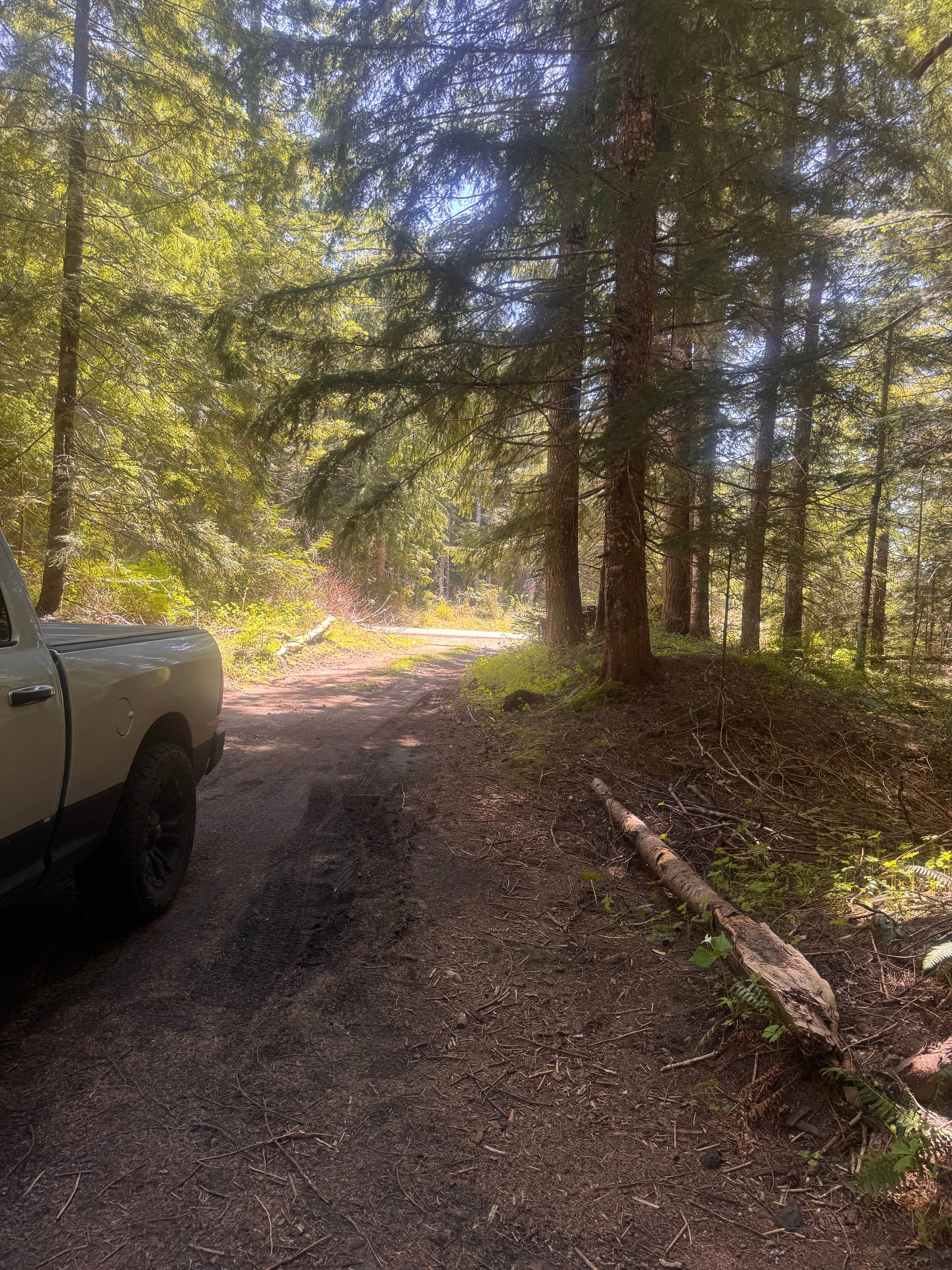 Camper-submitted photo at lava canyon, Cougar, Washington near Silverlake, WA