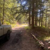 Review photo of lava canyon, Cougar, Washington by Chris J., May 3, 2026