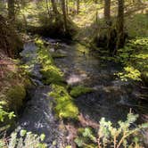 Review photo of lava canyon, Cougar, Washington by Chris J., May 3, 2026