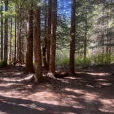 Review photo of lava canyon, Cougar, Washington by Chris J., May 3, 2026