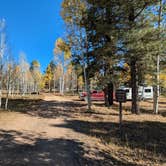 Review photo of Lava Flat Dispersed Camping Area by Greg L., October 4, 2024