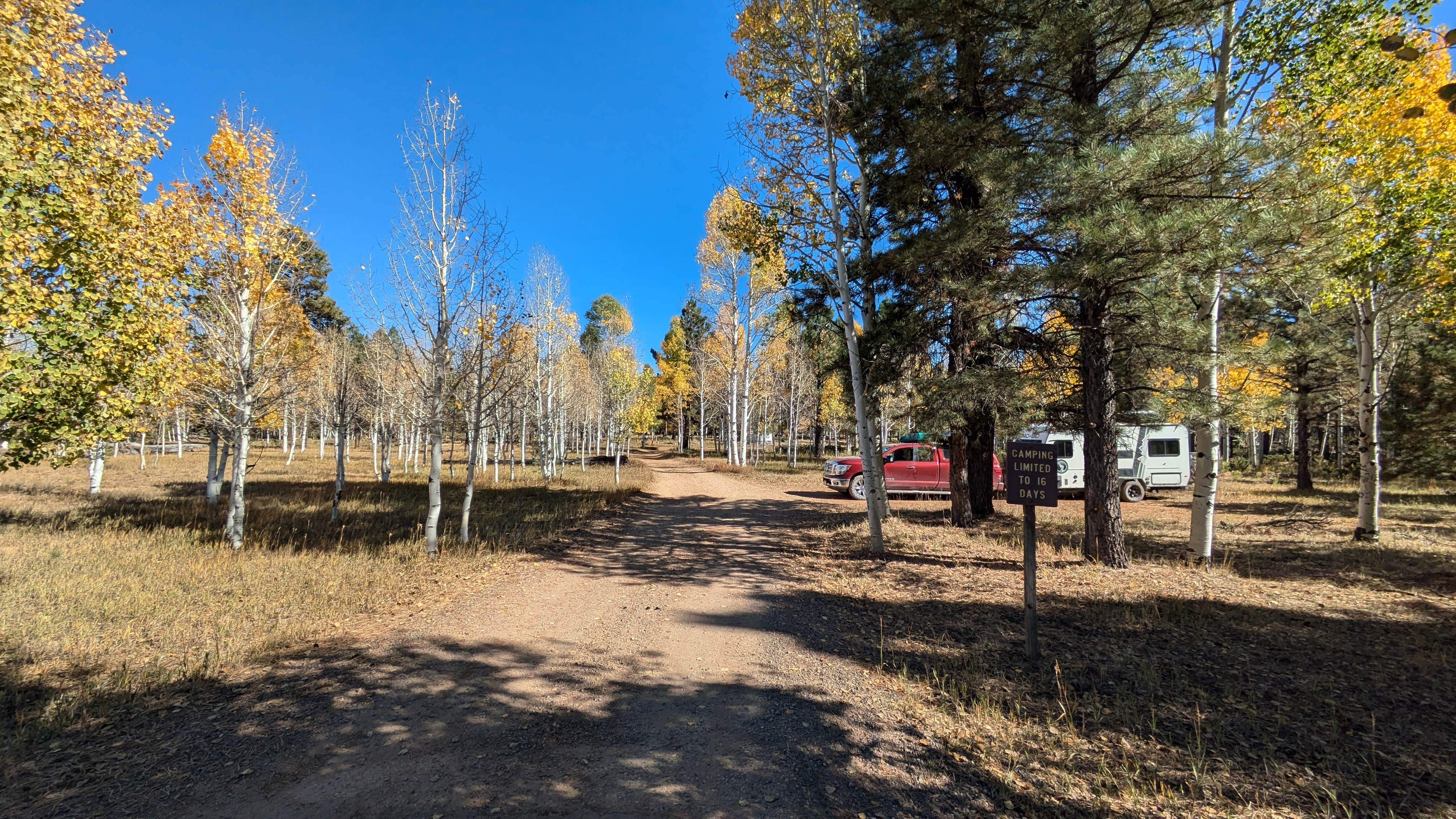 Camper submitted image from Lava Flat Dispersed Camping Area - 5