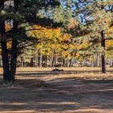 Review photo of Lava Flat Dispersed Camping Area by Greg L., October 4, 2024