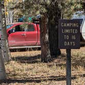 Review photo of Lava Flat Dispersed Camping Area by Greg L., October 4, 2024