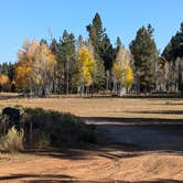 Review photo of Lava Flat Dispersed Camping Area by Greg L., October 4, 2024