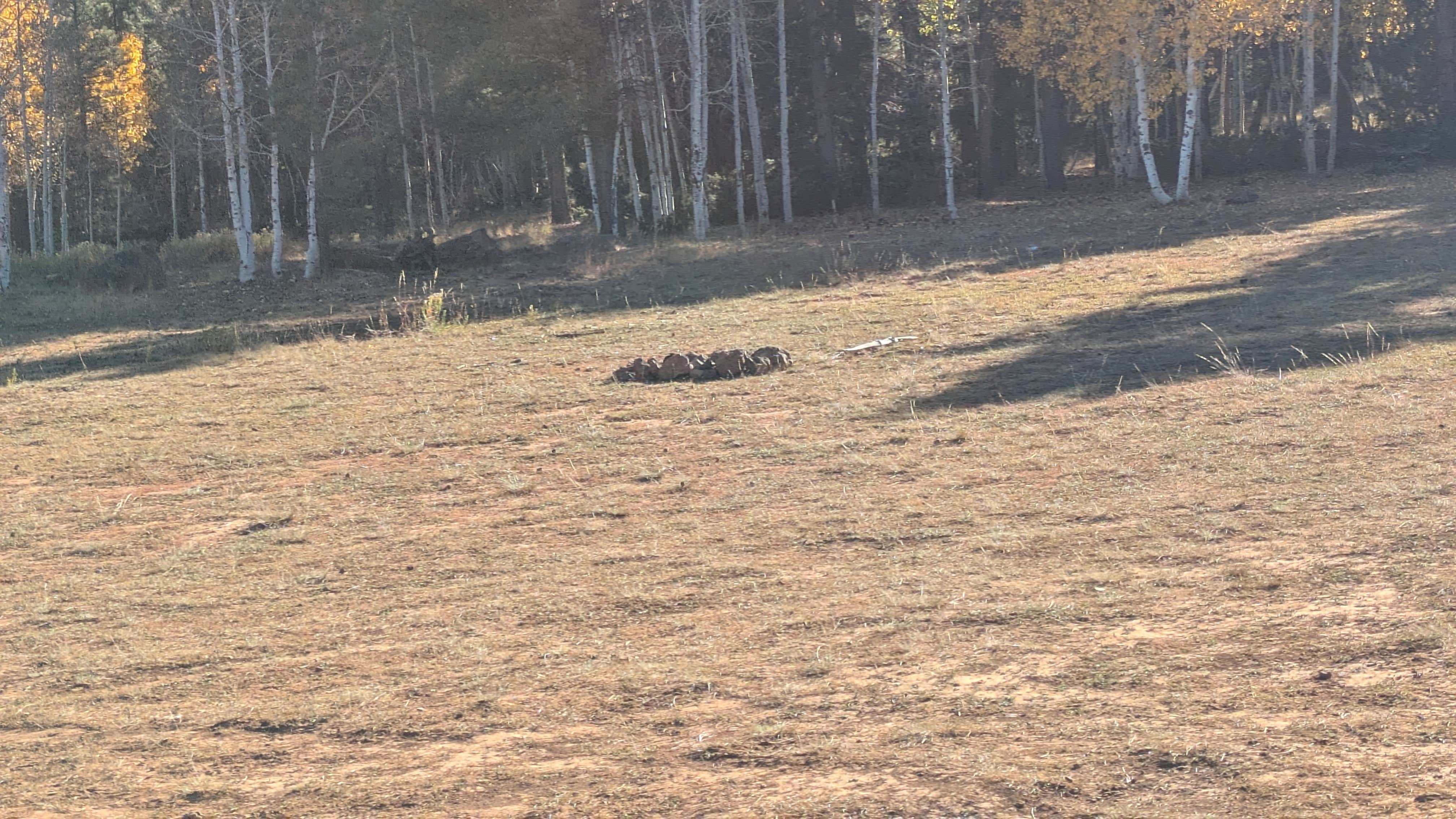 Camper-submitted photo at Lava Flat Dispersed Camping Area near Duck Creek Village, UT