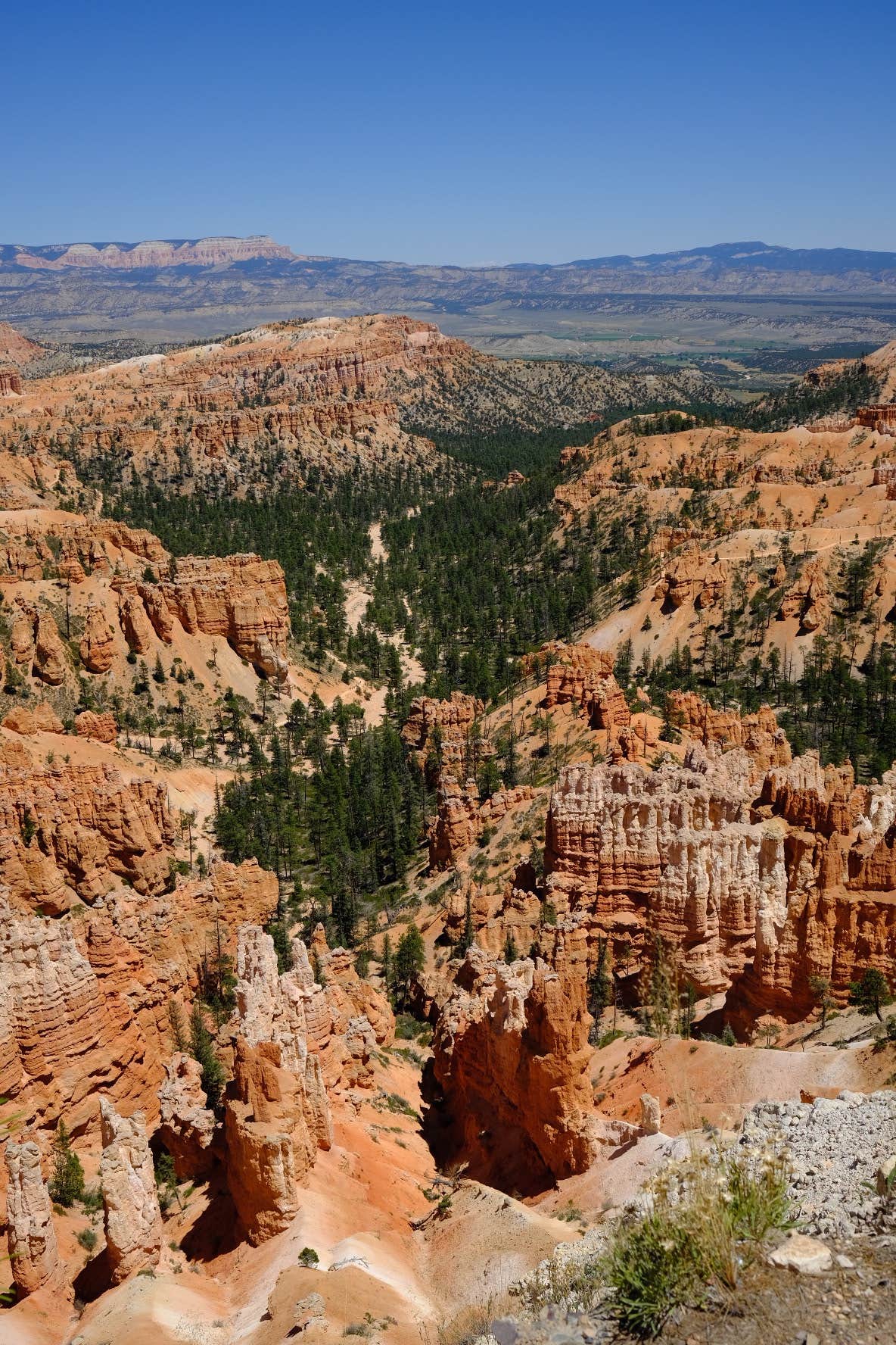 Camper-submitted photo at Lava Flats Dispersed Camping near Duck Creek Village, UT