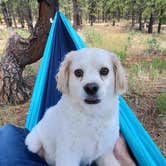 Review photo of Lava Flats Dispersed Camping by Stephanie W., April 22, 2024