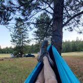 Review photo of Lava Flats Dispersed Camping by Stephanie W., April 22, 2024