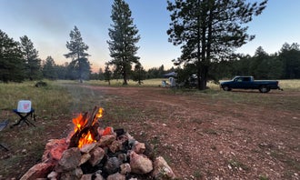 Camping near Spruces Campground (Dixie NF): Lava Flats Dispersed Camping, Duck Creek Village, Utah