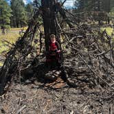 Review photo of Lava Tube Cave Path on Forest Road 171 by Charles G., September 24, 2024