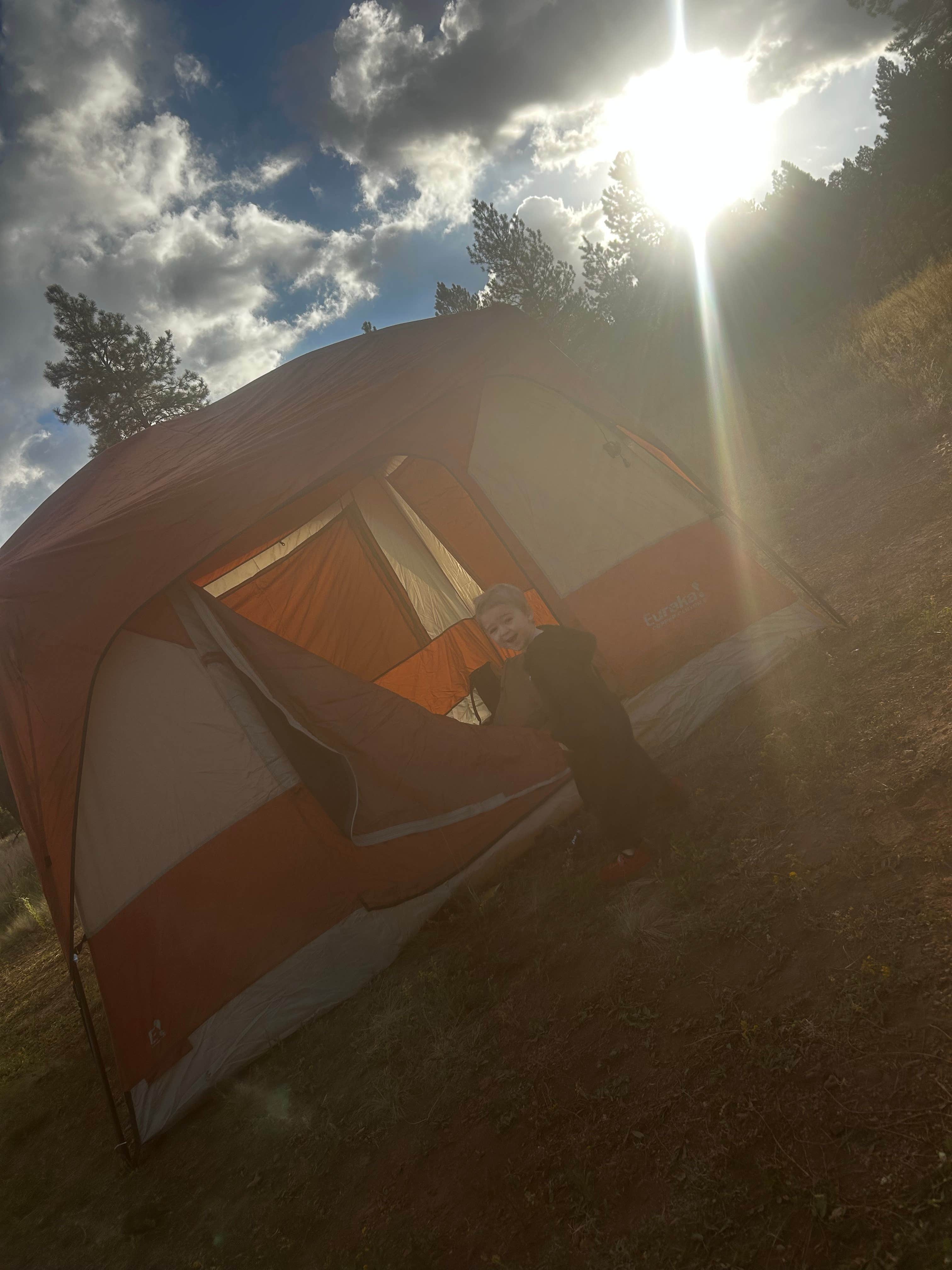 Charles G.'s photo of a dispersed camping area at Lava Tube Cave Path on Forest Road 171 near Williams, AZ