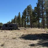 Review photo of Lava Tube Cave Path on Forest Road 171 by Ian B., March 13, 2026