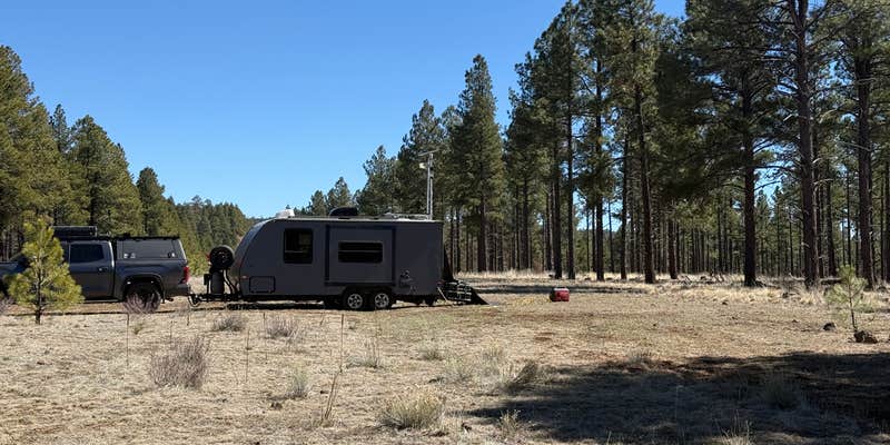 Camper submitted image from Lava Tube Cave Path on Forest Road 171