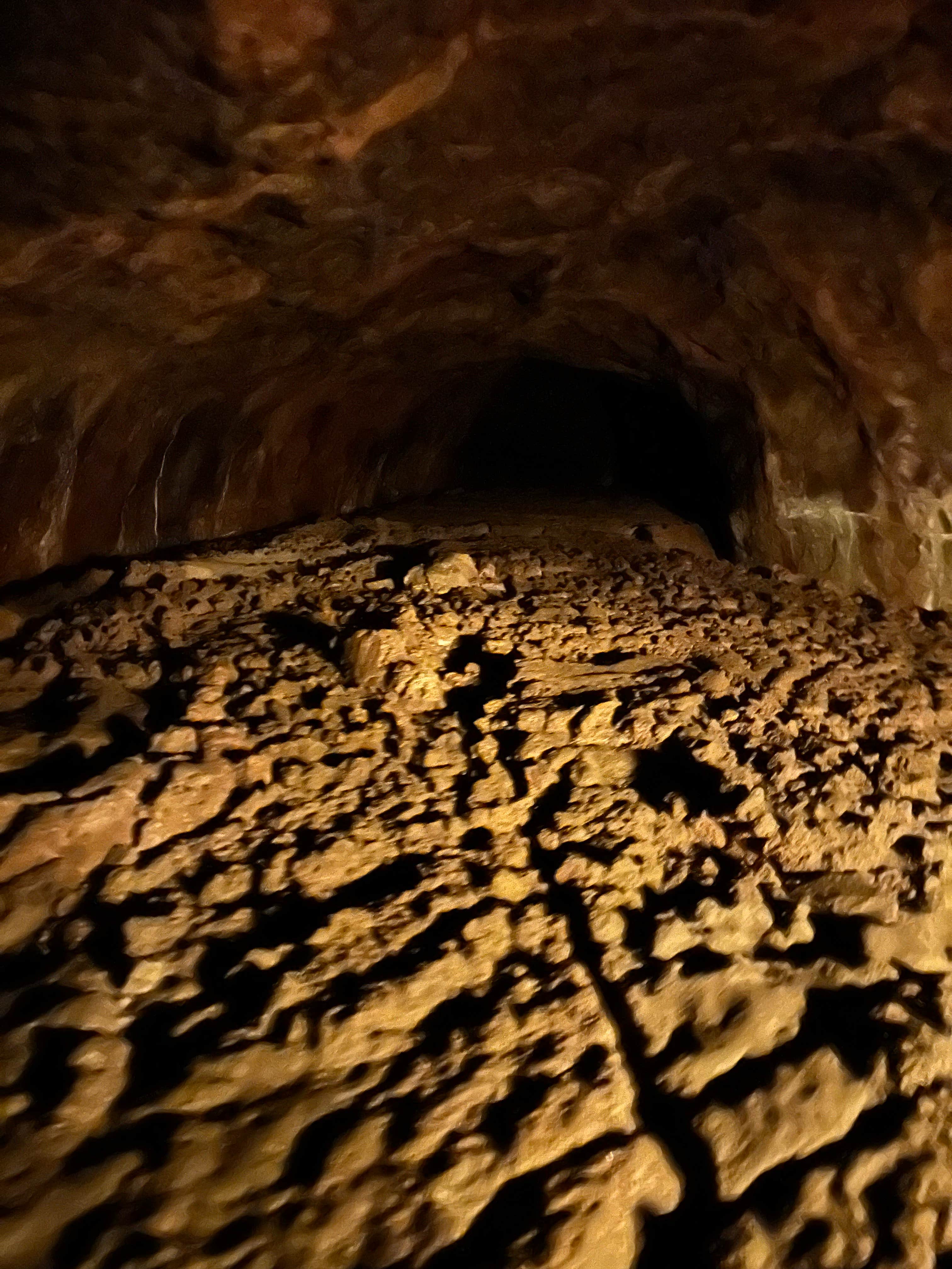 Camper submitted image from Lava Tube Cave Path on Forest Road 171 - 2