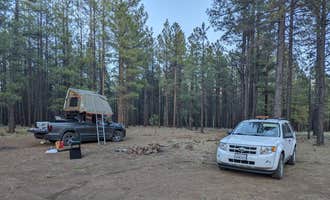 Camping near Village Camp Flagstaff: Lava Tube Cave Path on Forest Road 171, Bellemont, Arizona