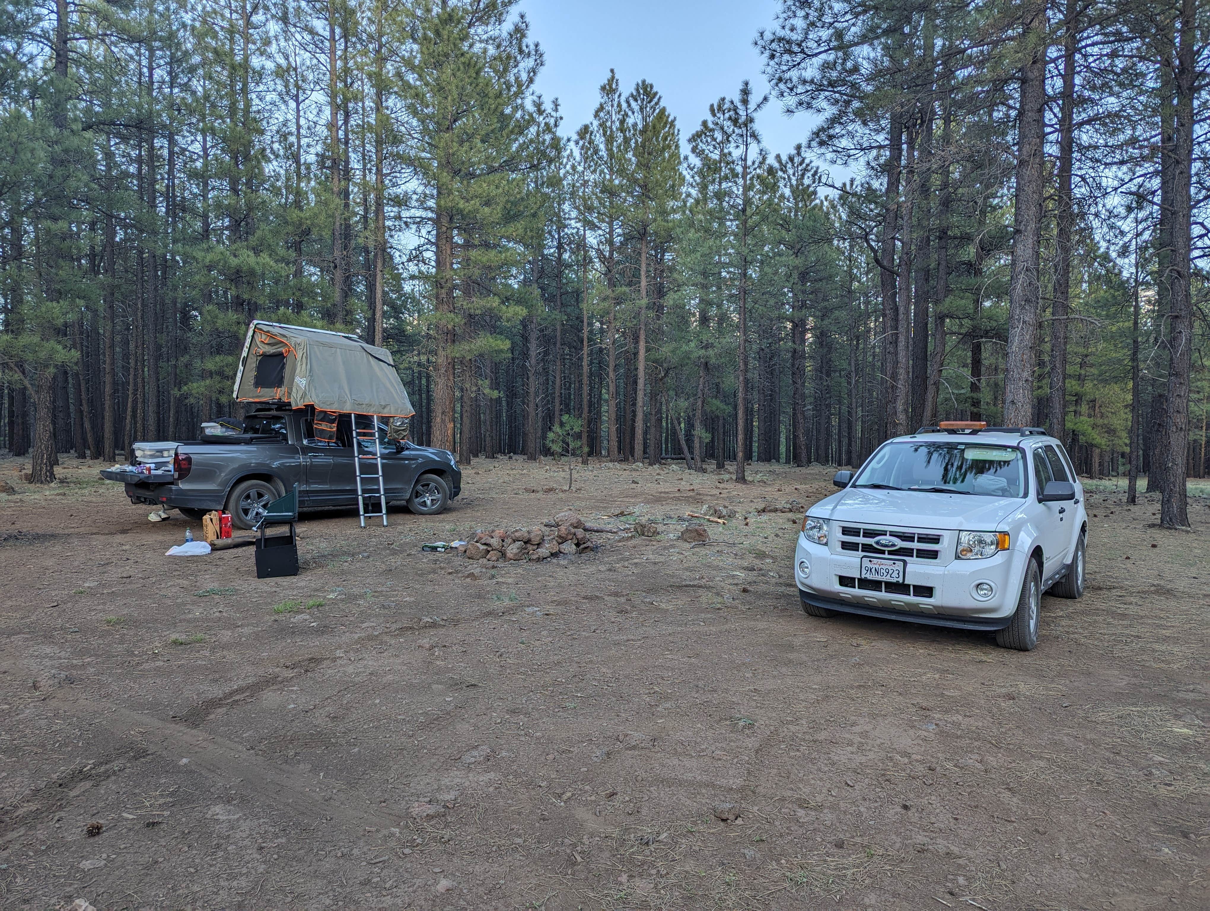 Camper submitted image from Lava Tube Cave Path on Forest Road 171 - 1