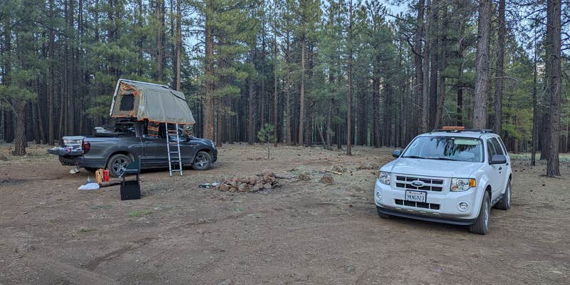 Camper submitted image from Lava Tube Cave Path on Forest Road 171