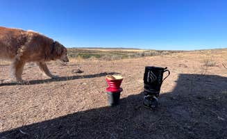 Nikki R.'s photo of camping with pets at Lava Creek near Craters of the Moon National Monument
