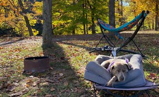 Heather's photo of camping with pets at Lazy A Campground near Martinsburg, WV