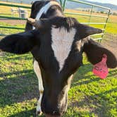Review photo of Lazy D C Bar Ranch by DEBRA M., July 11, 2026