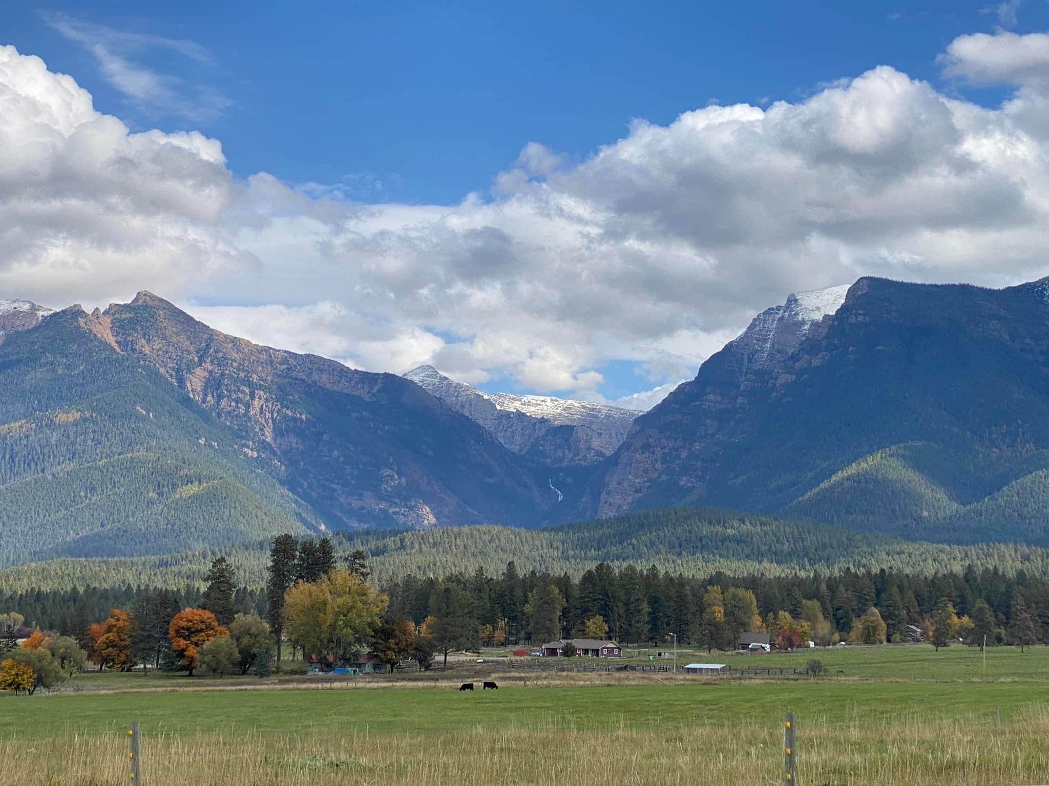 Camper-submitted photo at Lazy D C Bar Ranch near Florence, MT