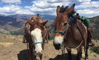 Megan & Jay C.'s photo of camping with a horse at Lazy D C Bar Ranch near Lolo, MT