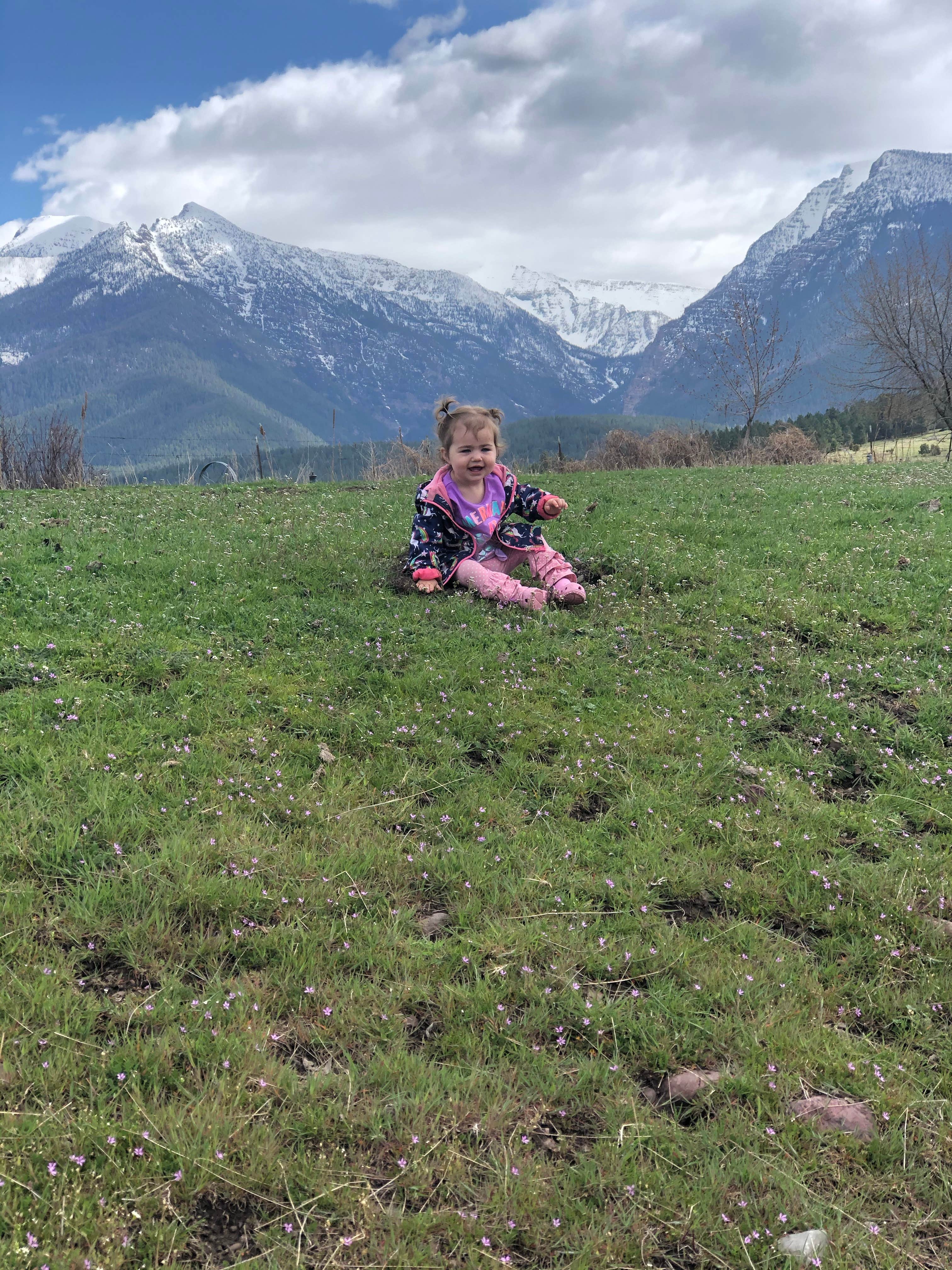 Camping near Diamond S RV Park: Lazy D C Bar Ranch, St. Ignatius, Montana