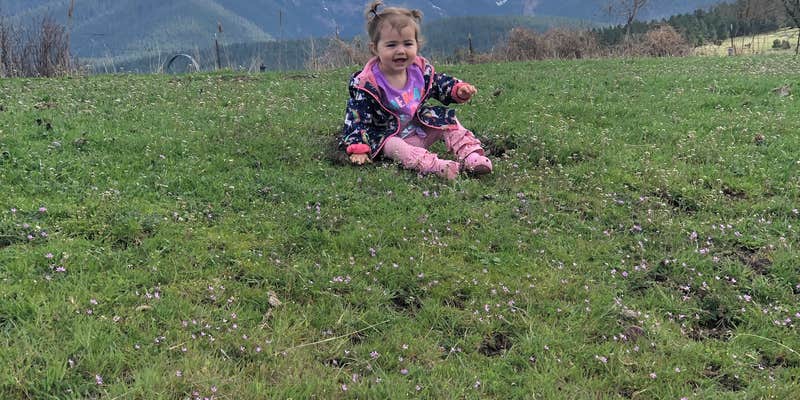 Camper submitted image from Lazy D C Bar Ranch