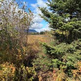 Review photo of Lazy Tom Bog Primitive Campsite by Brendan M., October 12, 2025