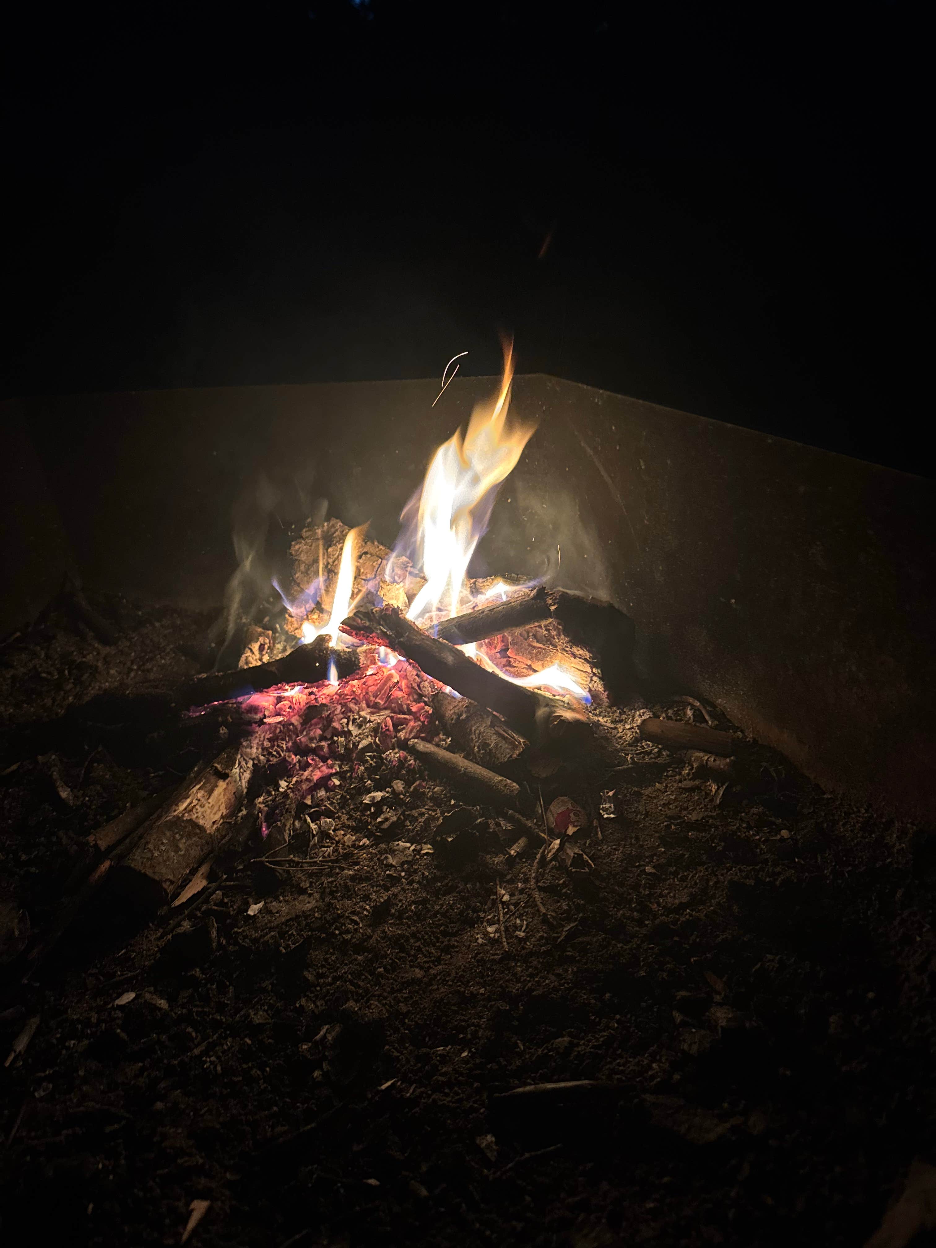 Camping near Shallow Bay: Lazy Tom Bog Primitive Campsite, Frenchtown, Maine