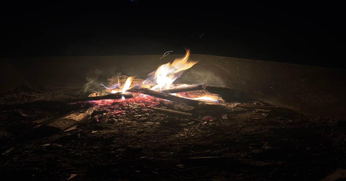 Lazy Tom Bog Primitive Campsite | Frenchtown, Maine