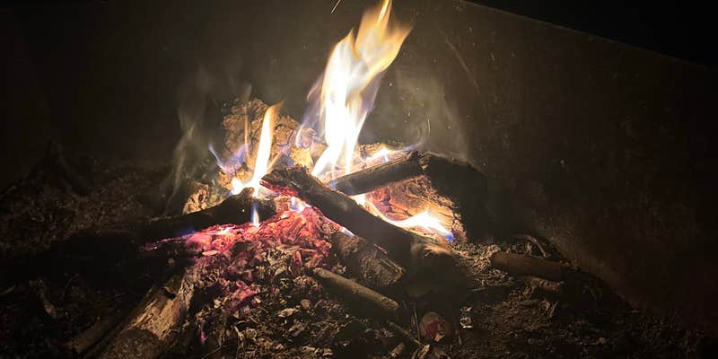 Camper submitted image from Lazy Tom Bog Primitive Campsite