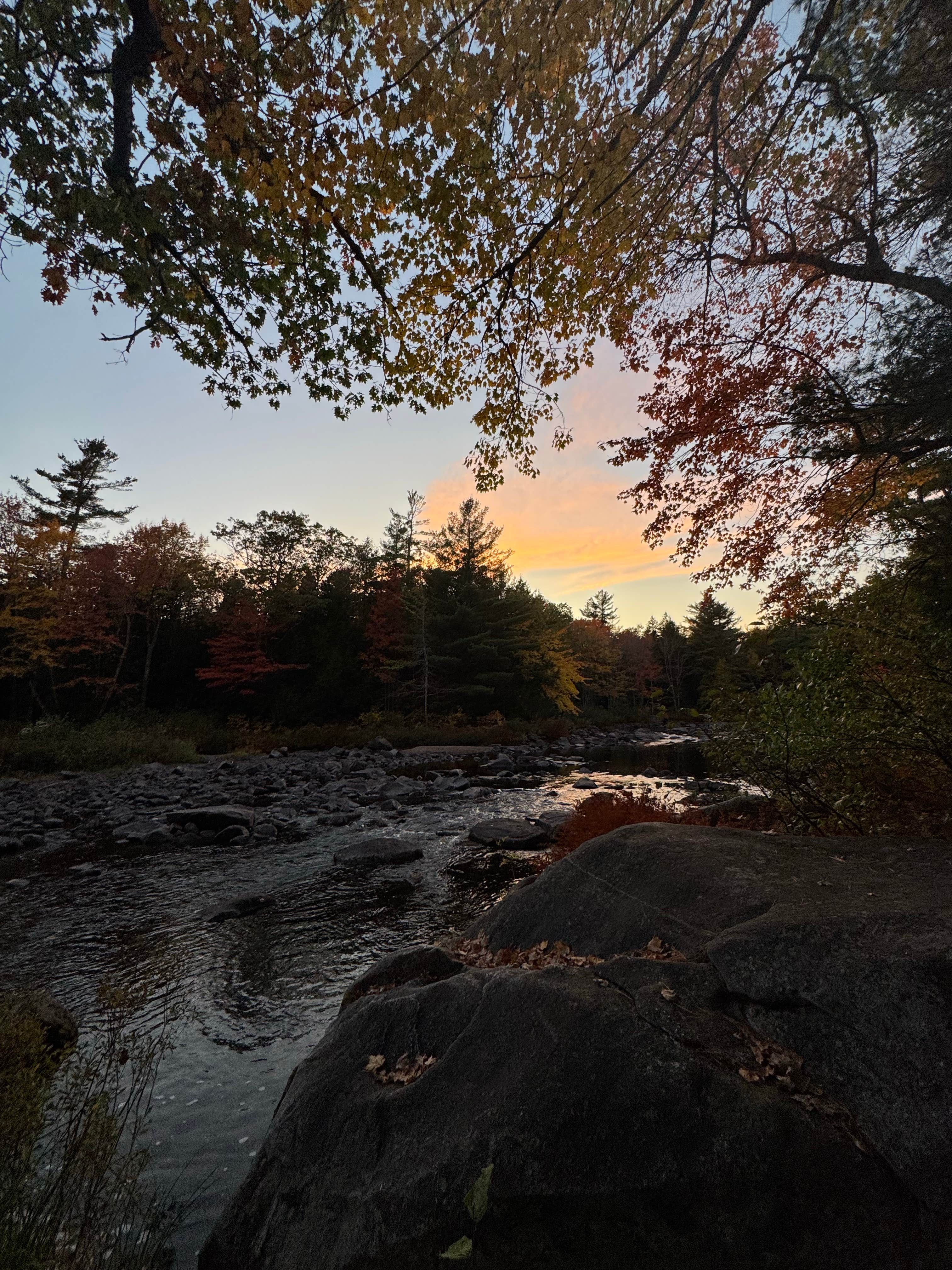 Camper-submitted photo at Lazy Tom Bog Primitive Campsite in Maine
