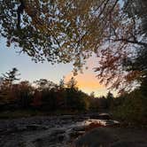 Review photo of Lazy Tom Bog Primitive Campsite by Tim M., October 23, 2025