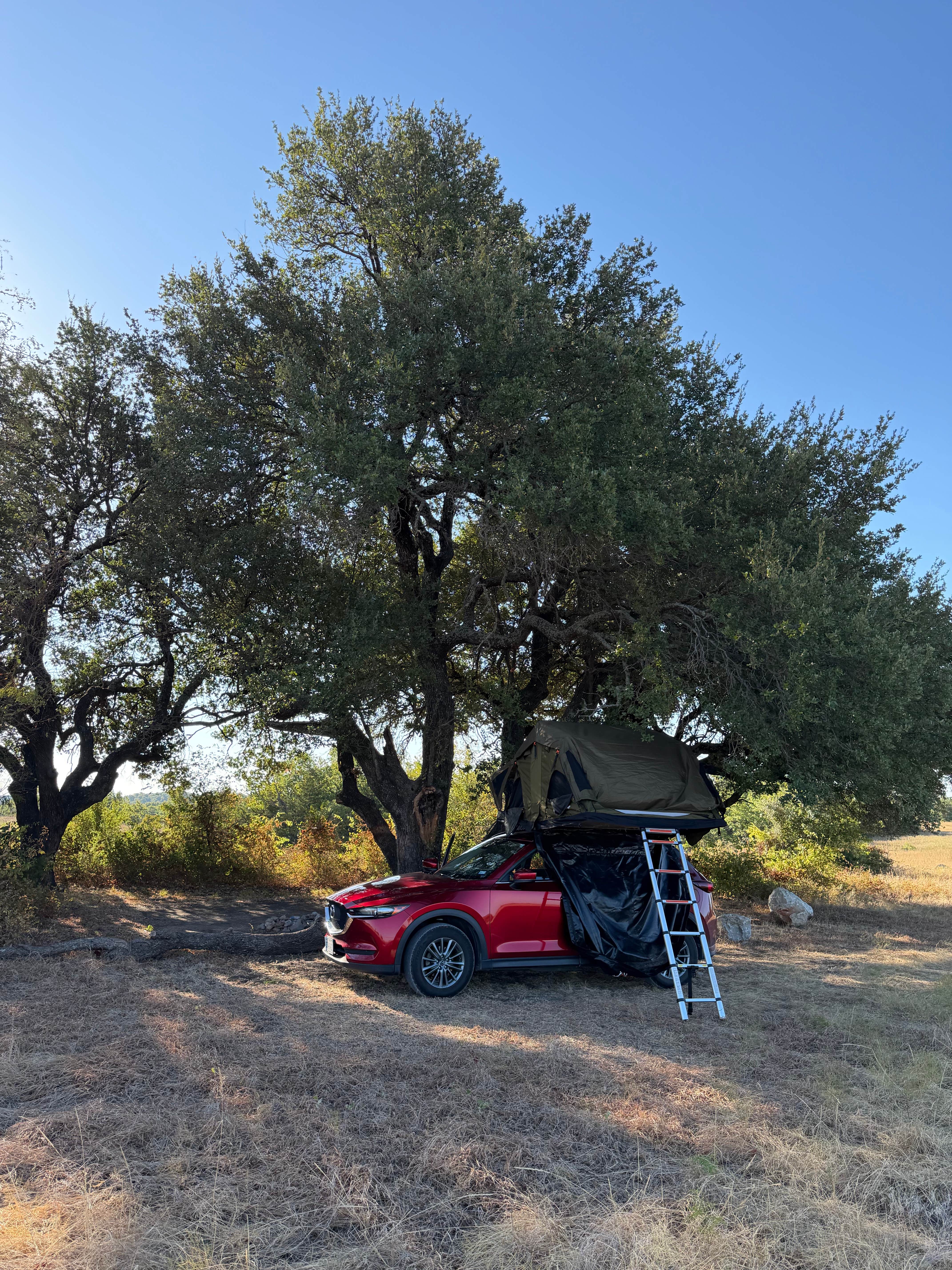 Camper-submitted photo at LBJ Grasslands near Frisco, TX