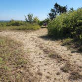 Review photo of LBJ National Grasslands Forest Road 904 Dispersed Camping by Ronald S., May 2, 2024